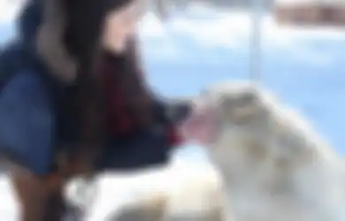 Terapi Serigala Membantu Gadis Ini Sembuhkan Anoreksia yang Diidapnya