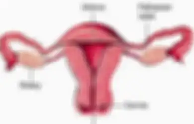 Wahai Wanita, Jangan Khawatir Meski Hidup Tanpa Rahim karena Kanker Serviks