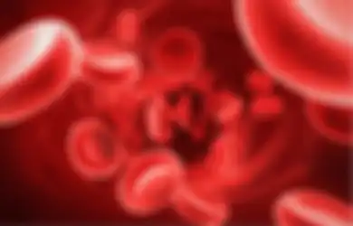 6 Fakta Mengejutkan tentang Hemofilia, Penyakit ‘Keturunan’ yang Tak Tersembuhkan