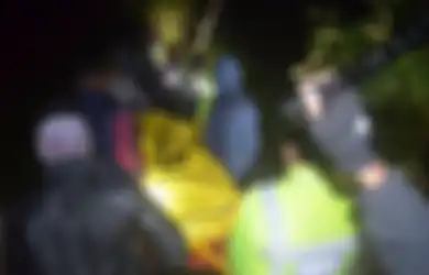 Asyik Bermain Ponsel dan Panjat Pohon, Tiga Pendaki Gunung Prau Tewas Tersambar Petir