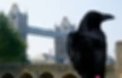 14 Aturan Kerajaan Inggris yang Ratu Elizabeth II sekalipun Tidak Boleh Melanggarnya, Nomor 1 Cukup Aneh