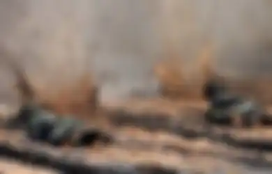 (Video) Dopper, saat Pasukan Elite TNI Ditembaki Peluru Tajam dalam Sesi Latihan Paling Ekstrem