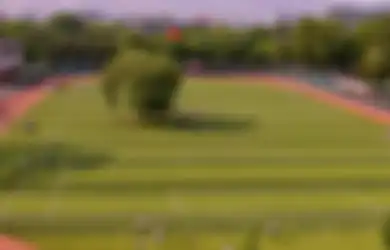 Bermain Bola di Lapangan Ini Wajib Hati-hati Jika Tak Ingin…Buk, Menabrak Sebuah Pohon