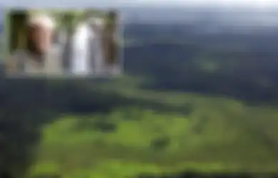 Angkat Topi Tinggi-tinggi untuknya, Selama 40 Tahun Pria Ini Berjuang untuk Menghidupkan Kembali Hutan yang Gundul