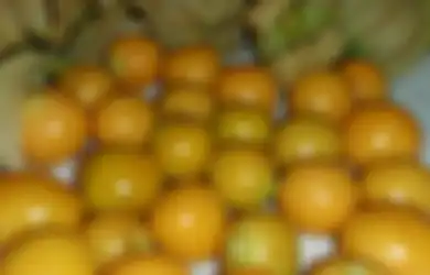 Dulu Dicampakkan, Kini Buah Ceplukan Harganya Selangit dan Jadi Buruan
