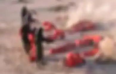 Tembak Mati Militan ISIS yang Tertangkap, Militer Libya Benarkah Militer Libya Melanggar HAM?