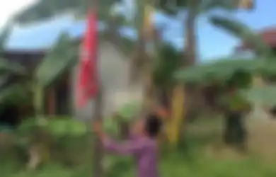 Tak Punya Merah Putih, Nenek Maryam Kibarkan Bendera Bintang Bulan Milik GAM