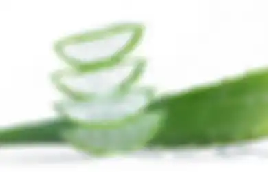 Bukan Cuma Buat Rambut, Lidah Buaya Juga Bisa Sembuhkan Luka dan Turunkan Kolesterol. Ini Caranya!