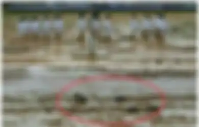 Salut! Bertugas di Atas Lapangan Berlumpur Sampai Sepatu Terlepas, Paskibraka Ini Tetap Bertugas dengan Baik