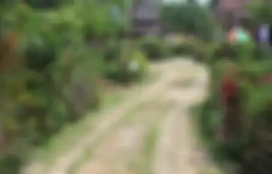 (Video) Desa Ini Mengklaim Sebagai Desa Terbersih di Asia dan Bisa Menjadi Contoh Bagi Desa Lain di Dunia