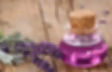 Bisa Mengatasi Insomnia Hingga Penyakit Kulit Eksim, Ini Manfaat Ajaib Tanaman Lavender!