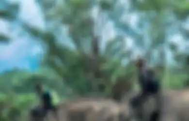 Menggembala Gajah, Menyapa Detak Pelindung Hutan
