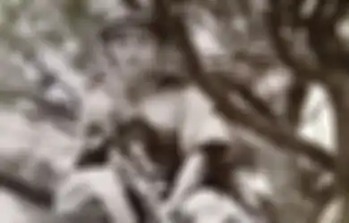 Sniper Jepang, Pantang Keluar dari Sarang Sebelum Dirinya Sendiri Jadi Mayat