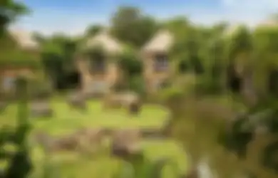 5 Hotel Paling Unik di Bali, Ada Yang Tidur Di Alam Terbuka! Berani Coba?