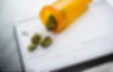 Keputusan Badan Kesehatan Dunia: Ganja Medis Legal dan Boleh Dikonsumsi Pasien