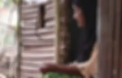 Nenek Hansamu Terpaksa Tinggal Sebatang Kara di Tengah Hutan Setelah Rumahnya Dijual Anaknya Secara Sepihak