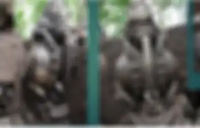 Tak Hanya Susastra, Peradaban Hindu-Buddha Masa Kerajaan Kadiri-Singhasari Juga Meninggalkan Seni Bangunan