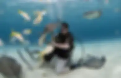 Mau Berinteraksi Langsung Dengan Ikan Pari? Silahkan Datang ke Lokasi Ini