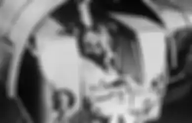 Sungguh Menyedihkan Nasib Laika sang Anjing Astronot Malang yang Jadi Pahlawan Antariksa Uni Soviet Ini