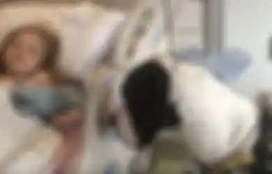 (VIDEO) Persahabatan Anjing dan Gadis Kecil yang Tengah Sekarat Ini Sungguh Menghangatkan Hati