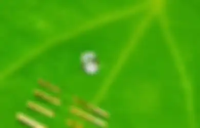 Misteri Susuk: Benarkah Mampu Ubah Nasib Pemakainya Hingga Jadi Cantik, Bahkan Menjaga Keselamatan?