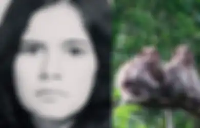Kisah Pilu Marina Chapman: Dibuang ke Hutan, Dirawat Kera, Lalu Dijadikan Budak Seks