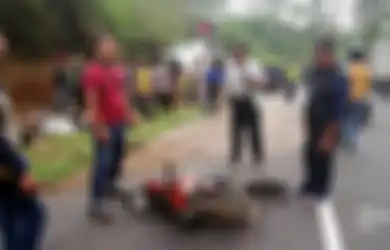 Mengenal 'Si Emen' yang Menjadi Nama Tanjakan Maut di Subang dan Belum Lama Ini Menewaskan 27 Orang