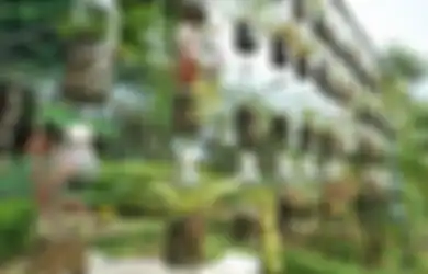 Mudah, Murah dan Indah! Hanya Bermodalkan Botol Bekas Anda Bisa Membuat Taman Vertikal di Lahan Sempit