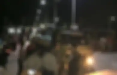 Anjing K9 yang Bertugas Mencari Narkotika di Kapal Win Long BH 2998 Kelelahan di Tengah-tengah Tugasnya