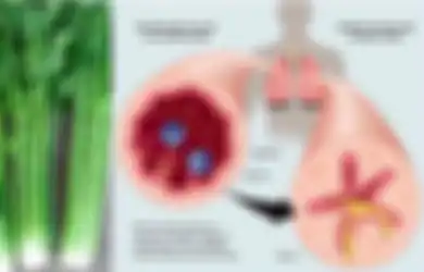Konsumsi Seledri Selama Satu Minggu dan Rasakan Langsung Manfaatnya pada Tubuh Anda