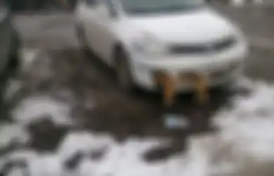 Hi... Seorang Dokter Menabrak Anjing dan Tak Sadar Mayatnya Terjepit di Depan Mobil Selama Berhari-hari