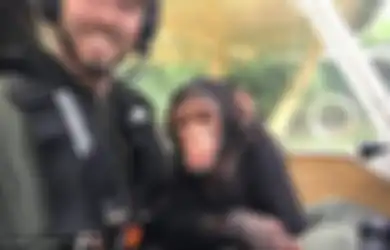 (Video) Setelah Diselamatkan, Simpanse Ini Jadi 'Co-Pilot Pesawat' untuk Terbang ke Rumah Barunya