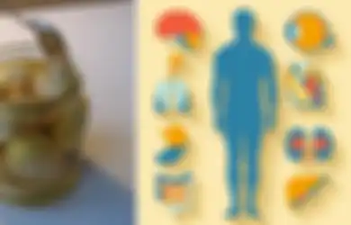 Sesekali, Coba Deh Minum Rendaman Bawang Putih dan Madu Selama 7 Hari Saat Perut Kosong, Rasakan Manfaatnya untuk Tubuh Anda