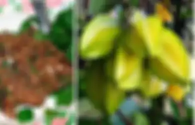 Terlihat Biasa, Ternyata 6 Makanan Ini Menyimpan Bahaya Hingga Dapat Sebabkan Kematian Lho