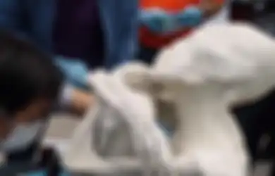 Diklaim Sebagai 'Mumi Alien', Penemuan Mumi Mirip Manusia Ini Langsung Timbulkan Berbagai Pertentangan