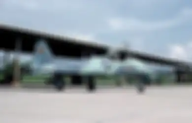 Jet Tempur F-5 E Tiger TNI AU Terjerembab, C-130 Hercules pun ‘Dipaksa’ Mengangkutnya
