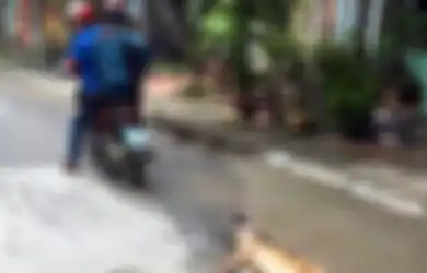 (Video) Memilukan, Anjing-anjing di Pasar Daging Vietnam Ini Direbus Hidup-hidup kemudian Dimakan