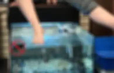 (Video) Lucu, Nenek Ini Jadi Viral karena Menjerit Kegelian saat Jalani Spa Ikan