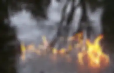 Mengapa Api dan Hujan Bermusuhan?