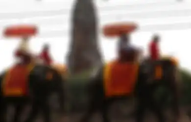 10 Kegiatan Terkejam yang Melibatkan Satwa Liar di Tempat Wisata: Menunggang Gajah