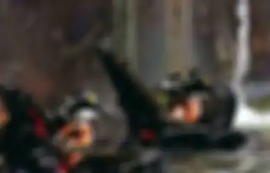 (Video) Ngeri! Pasukan Kopaska TNI AL 'Diceburkan' ke Laut Lepas Tanpa Bekal Tabung Oksigen