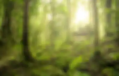 Pilih Habiskan Masa Tua Bareng Suami di Tengah Hutan, Pensiunan Kantor Ini Bersyukur Jauh dari Tetangga yang Julid: Pikiran Positif Nggak Gampang Darah Tinggi!