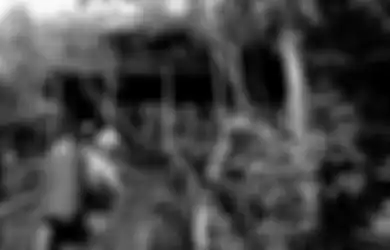 Jawaban Apa Arti Penting Rumah Betang Uluk Palin Bagi Masyarakat Dayak