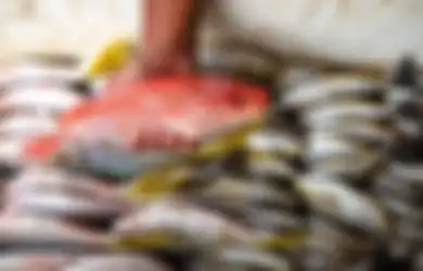 Perhatikan! Inilah Daftar Ikan dengan Kandungan Merkuri Rendah Hingga Tinggi