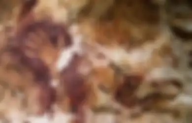Bagaimana Karakteristik Tempat yang Biasanya Ditemukan Peninggalan Gambar Cadas di Indonesia? Jawaban Soal Belajar dari Rumah untuk SMP