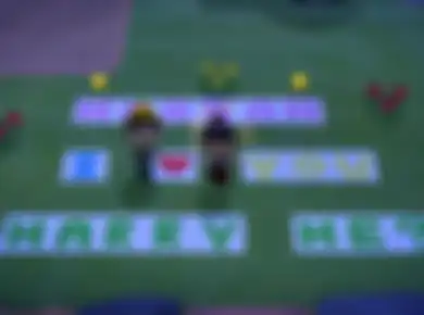 Lagi Karantina Corona, Cowok Ini Lamar Pacar Pakai Game Animal Crossing