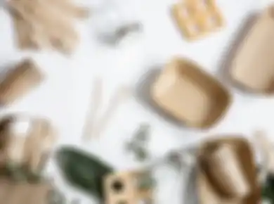 Pebisnis Muda Harus Memahami Pentingnya Sustainable Packaging