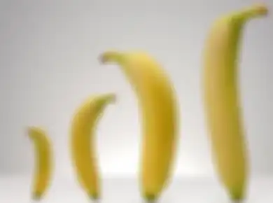 Bisa Keras, Tapi Kenapa Penis Manusia Nggak Ada Tulangnya? 