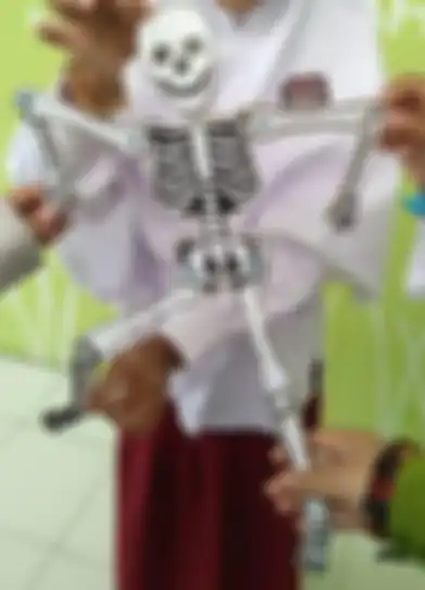 Alat gerak manusia berupa wayang 
