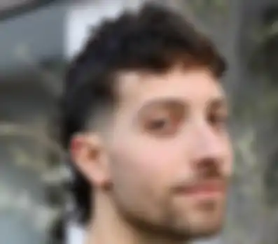 Modern Mullet